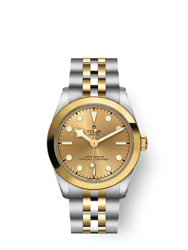 Tudor Black Bay 31 S&G. 316L Stainless Steel and 18k Yellow Gold. Ref# M79603-0005