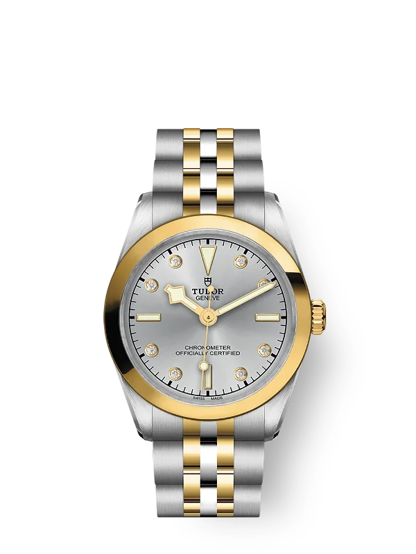 Tudor Black Bay 31 S&G. 316L Stainless Steel and 18k Yellow Gold. Ref# M79603-0007