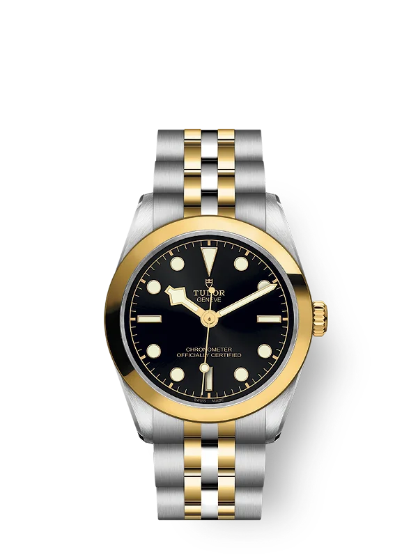 Tudor Black Bay 31 S&G. Stainless Steel and 18k Yellow Gold. Ref# M79603-0001