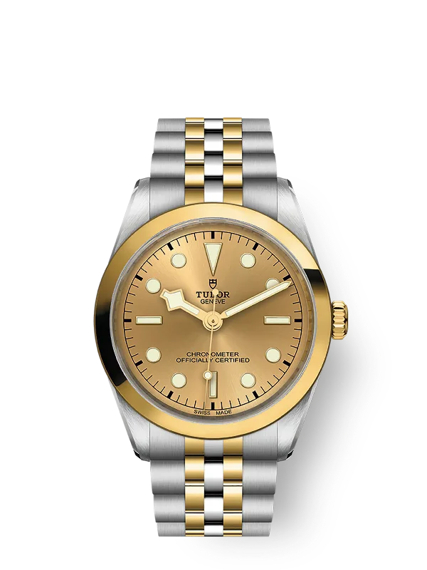 Tudor Black Bay 36 S&G. 316L Stainless Steel and 18k Yellow Gold. Ref# M79643-0005