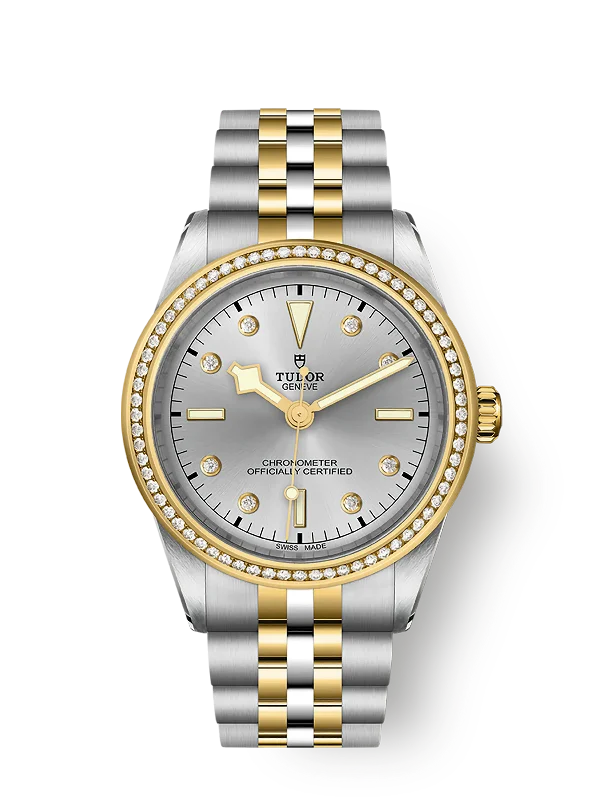 Tudor Black Bay 39 S&G. 316L Stainless Steel. 18k Yellow Gold and Diamonds. Ref# M79673-0006