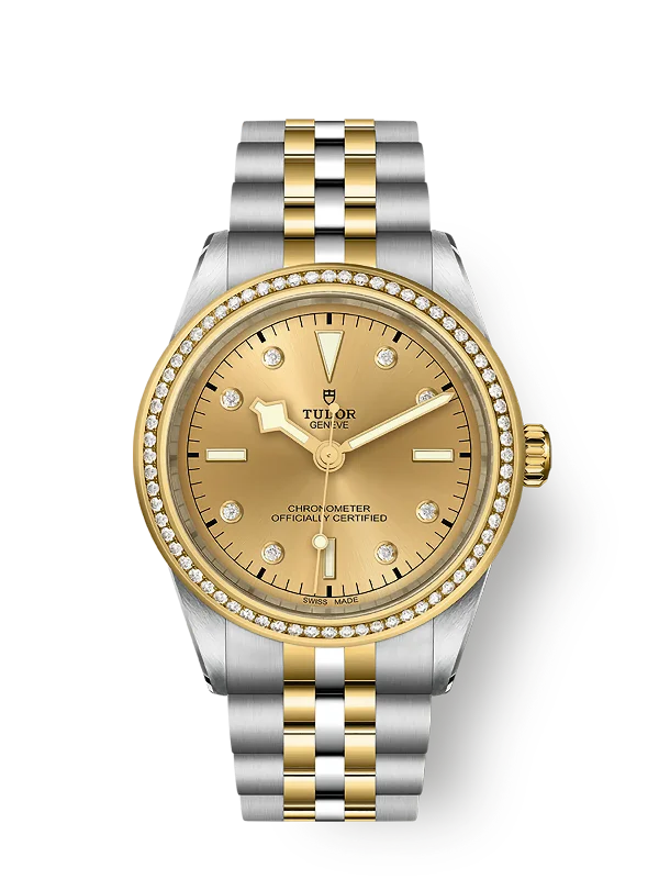 Tudor Black Bay 39 S&G. 316L Stainless Steel. 18k Yellow Gold and Diamonds. Ref# M79673-0007