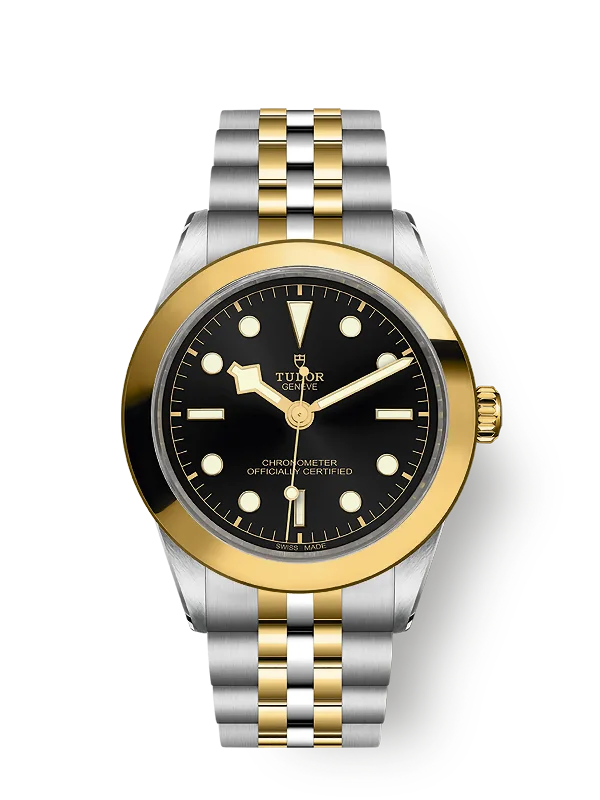 Tudor Black Bay 39 S&G. 316L Stainless Steel and 18k Yellow Gold. Ref# M79663-0001