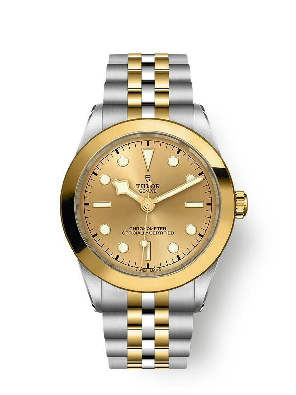 Tudor Black Bay 39 S&G. 316L Stainless Steel and 18k Yellow Gold. Ref# M79663-0005