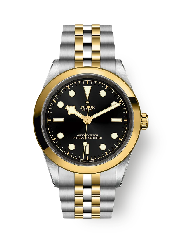 Tudor Black Bay 41 S&G. Stainless Steel and 18k Yellow Gold. Ref# M79683-0001